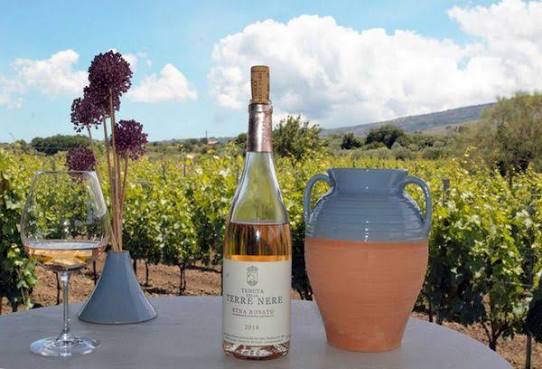 Tenuta delle Terre Nere Winery